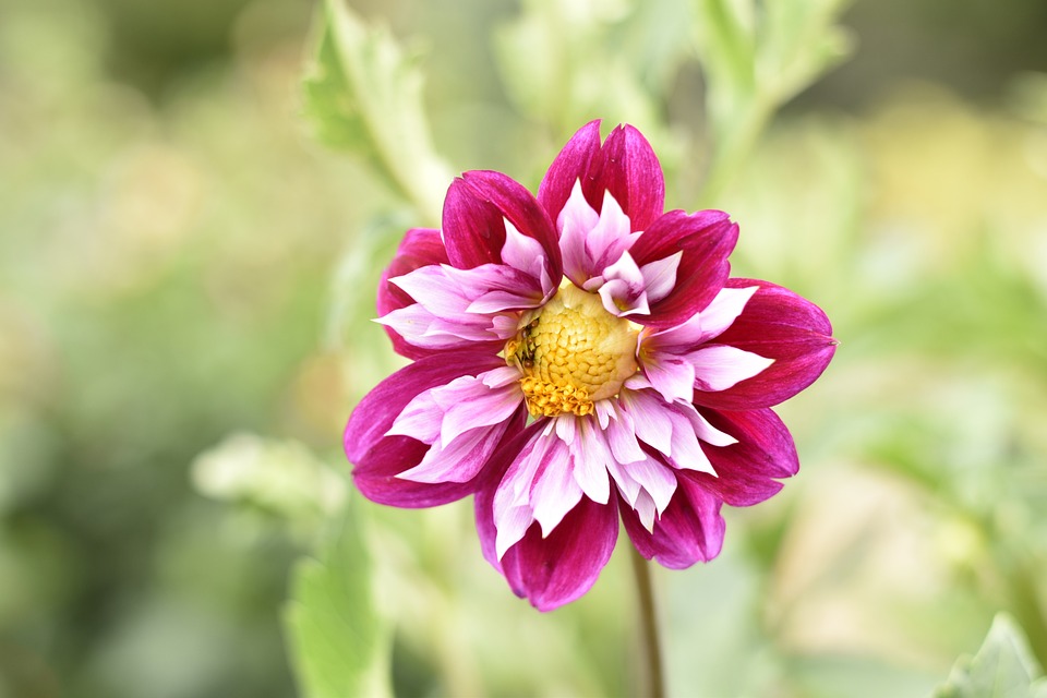 Lire la suite à propos de l’article Service de VTC/TAXI à Lyon pour tous vos déplacements