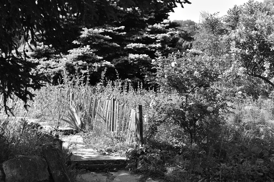 Lire la suite à propos de l’article Service de VTC/TAXI à Villeurbanne : à votre service